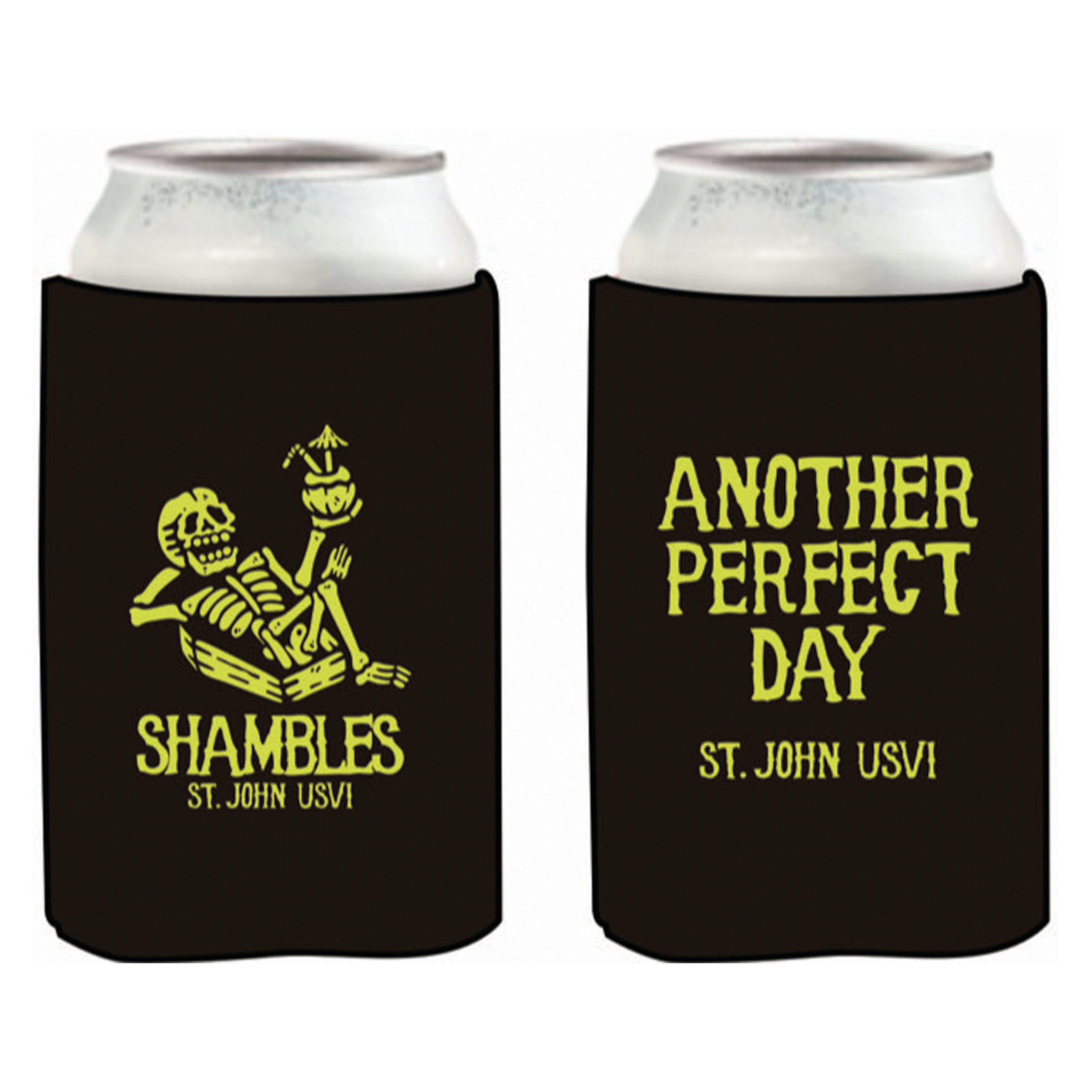 Perfect Day - Koozie
